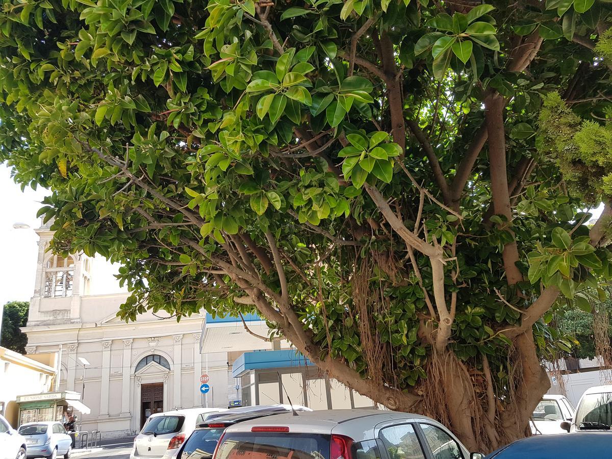 Hotel Da Agnese Locazioni Brevi Cagliari Zewnętrze zdjęcie